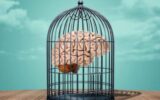 تصلب شناختی و انعطاف‌پذیری ذهن