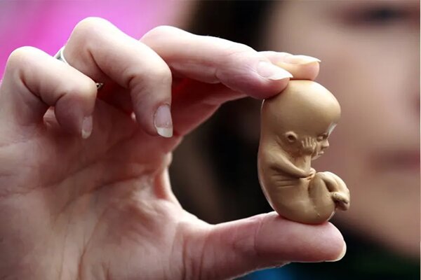 ‌روزانه تا هزار سقط جنین در کشور؛ آماری ۳۰ برابر تلفات تصادفات!