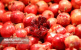 شب یلدا را هوشمندانه بگذرانیم؛ نه پرخوری، نه حذف دورهمی