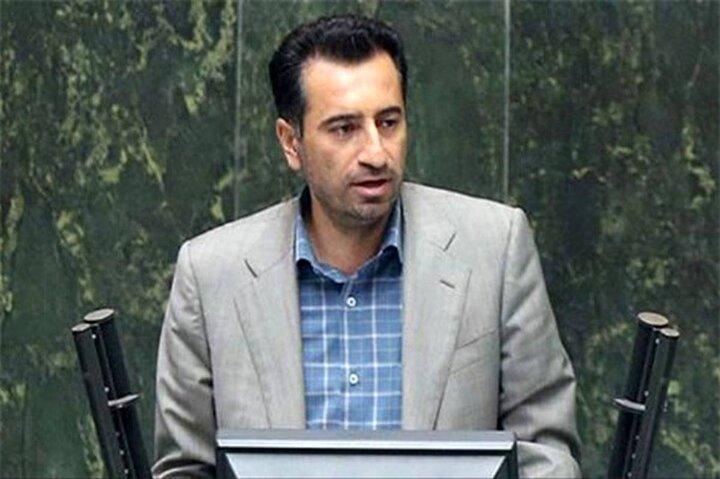 صالحی: مجلس پیگیر افزایش بودجه فرهنگی کشور است