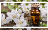 ۵ نوع روغن برای افزایش میل جنسی