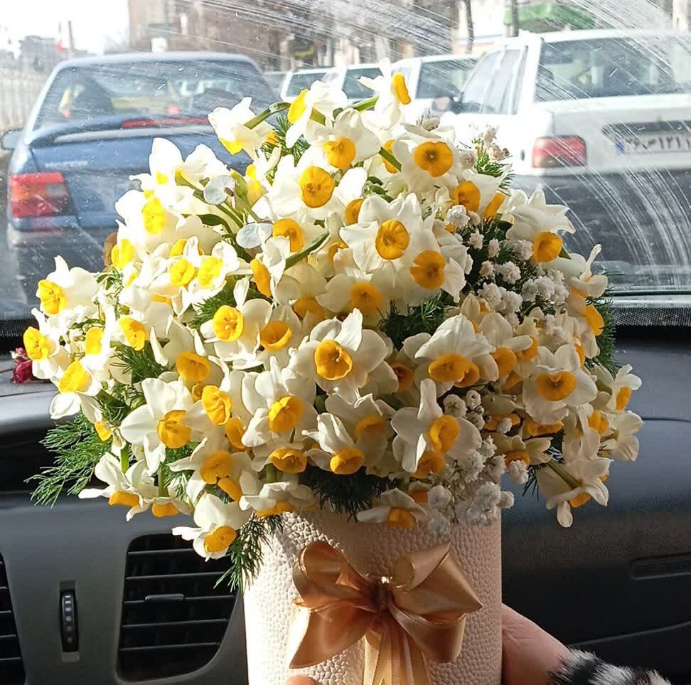 اقتدار بی‌هیاهو؛ روایت مهر از زندگی و شهادت سردار رضا جانثار حسینی