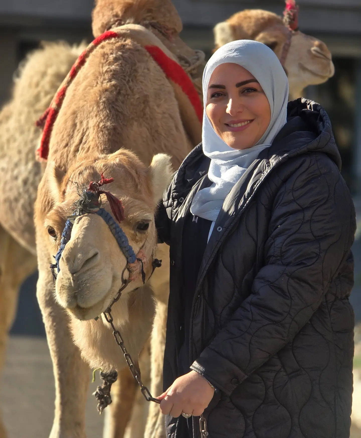 ژست دیدنی المیرا شریفی‌مقدم در کنار یک شتر