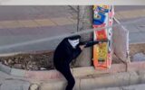 اغتشاشگران از چه سلاح‌هایی استفاده می کردند؟