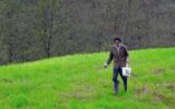 تنهایی و وفاداری قدمعلی در یک روستای خالی