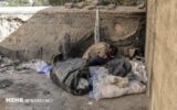 جمع‌آوری ۳۱ معتاد متجاهر در دلفان