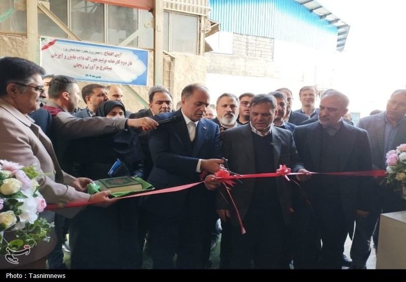 واردات 6 میلیون تن نهاده دامی و کالاهای اساسی به کشور