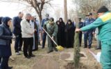 کاشت ۴۷ نهال برای ۴۷ سالگی انقلاب اسلامی در منطقه ۱۳ تهران