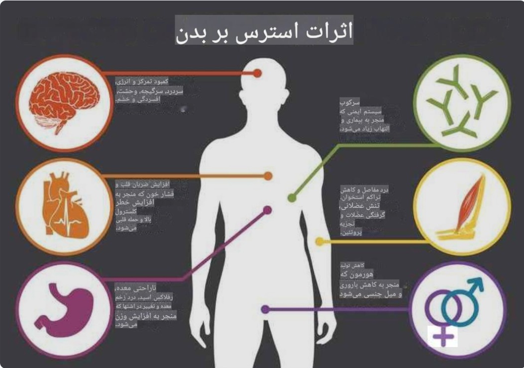 اینفوگراف تاثیر استرس بر بدن (ترجمه شده)