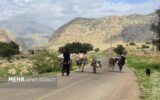 آغاز کوچ بهاره عشایر ایلام؛تمام راه های کوچ ییلاقی باز است