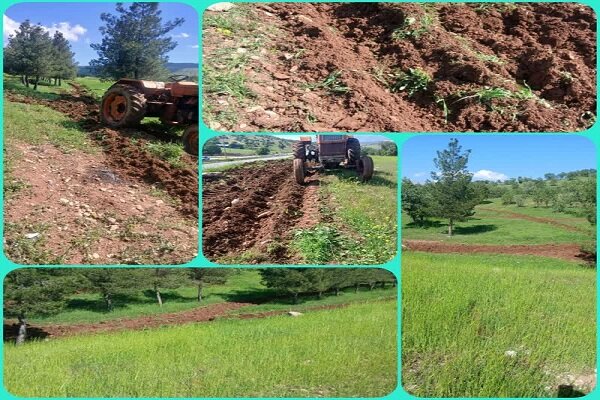 احداث «آتش‌بر» در عرصه‌های جنگلی و مرتعی چگنی