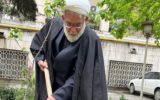 رئیس دیوان عالی یک اصله نهال مثمر در دادگستری کاشت