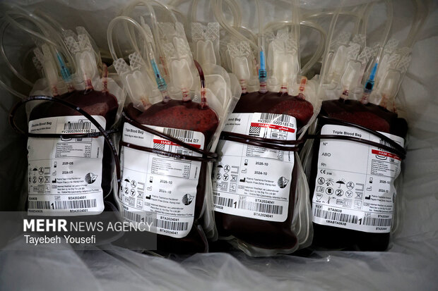 میرزاده: تیم سیار انتقال خون در سرپل‌ذهاب مستقر می‌شود