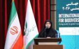 انصاری: یک میلیون و 340 هزار هکتار ‌اراضی تالابی ‌سند مالکیت گرفت
