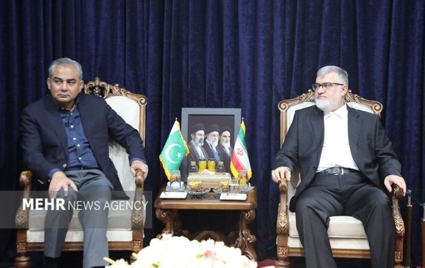 تهران حلقه پیوند دیپلماسی همسایگی و همکاریهای اقتصادی با پاکستان است تهران حلقه پیوند دیپلماسی همسایگی و همکاریهای اقتصادی با پاکستان است