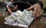 فروش دلار توسط شعب برخی بانک‌ها / بانک مرکزی پس از شوک قیمتی به بازار دست به کار شد