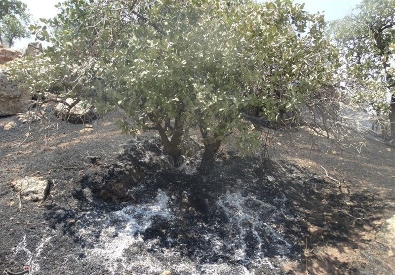 لرستان در آستانه تابستانی پرخطر؛ آتش و خشک‌سالی دوگانه مرگبار زاگرس