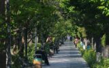 کیفیت هوای تهران قابلقبول شد کیفیت هوای تهران قابلقبول شد