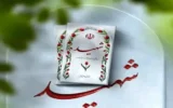 ۱۴ نیر‌وی سپاه امروز در زنجان شهید شدند+ جزئیات