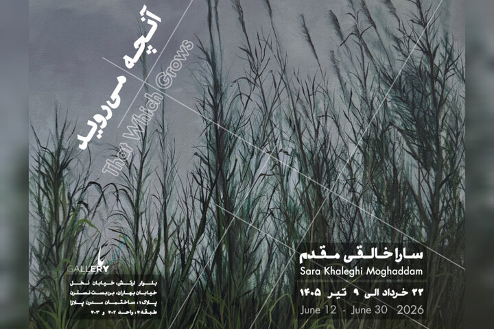 «آنچه میروید» به باگالری رسید؛ وفادار به بینظمی جهان «آنچه میروید» به باگالری رسید؛ وفادار به بینظمی جهان
