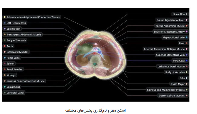 اخبار،اخبار جدید،اخبار روز