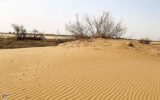 تشدید بیابان‌زایی در کرمان؛ برداشت بی‌رویه آب و تخریب پوشش گیاهی