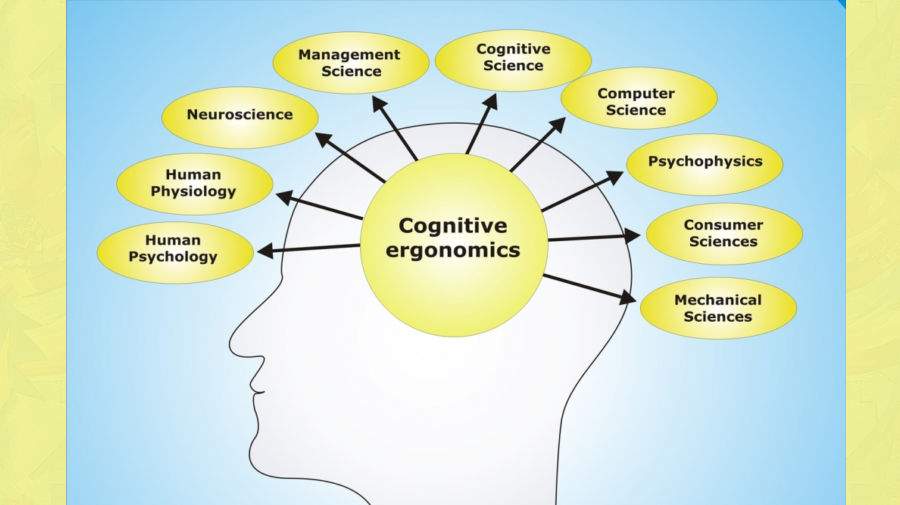 شناخت (Cognition) چیست ؟ شناخت (Cognition) چیست ؟