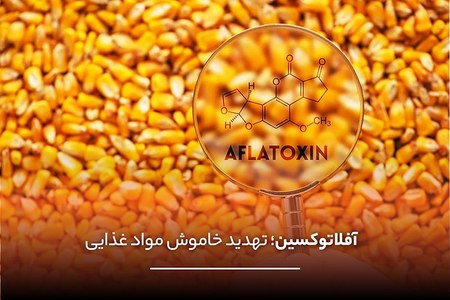 10 مسمومیت غذایی با بیشترین آمار تلفات در ایران از سال 1404 تاکنون