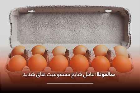 سالمونلا، اشرشیا کلی و لیستریا از مهم‌ترین عوامل مسمومیت غذایی در ایران