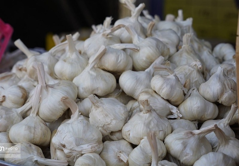 اخبار استان همدان , اخبار همدان , جهاد دانشگاهی , 