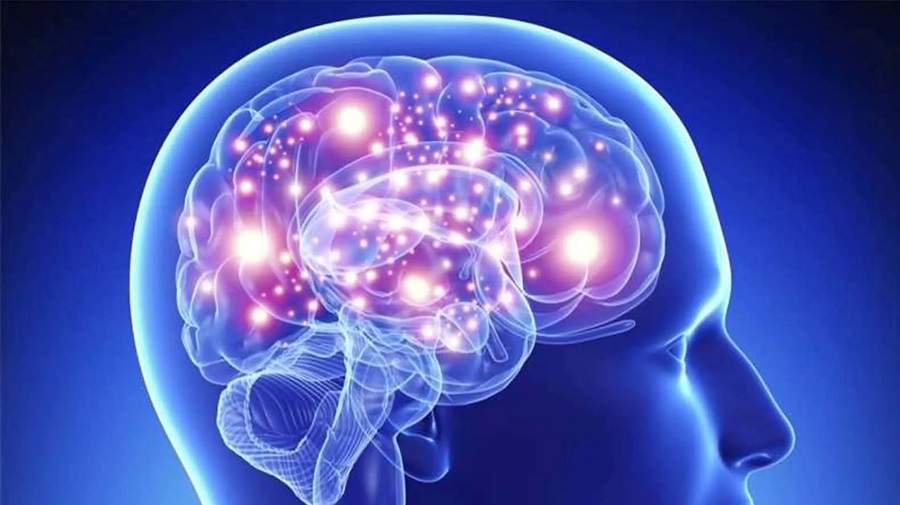به چه علت مغز اشتباهات را توجیه میکند؟ به چه علت مغز اشتباهات را توجیه میکند؟
