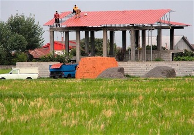 جنگ بر سر زمینهای کشاورزی شمال/ چالش تداخلات اراضی بین مردم و دولت جنگ بر سر زمینهای کشاورزی شمال/ چالش تداخلات اراضی بین مردم و دولت