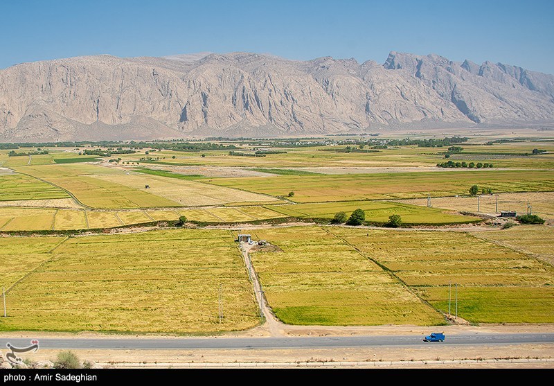 جنگ بر سر زمینهای کشاورزی شمال/ چالش تداخلات اراضی بین مردم و دولت اخبار استان مازندران , اخبار ساری , نظام مسائل استان , نظام مسائل استان مازندران ,